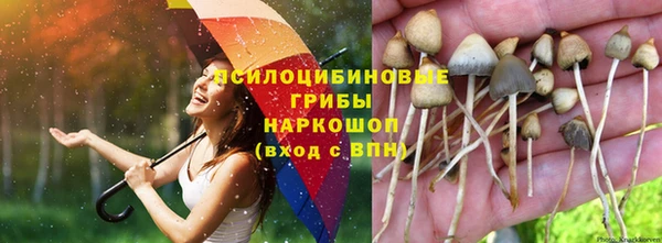 эйфоретик Аркадак