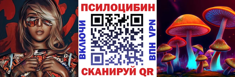 Псилоцибиновые грибы Psilocybe  Приморско-Ахтарск 
